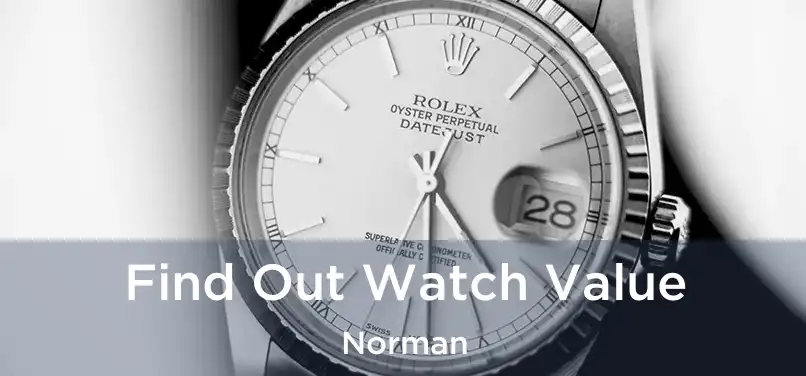 Find Out Watch Value Norman