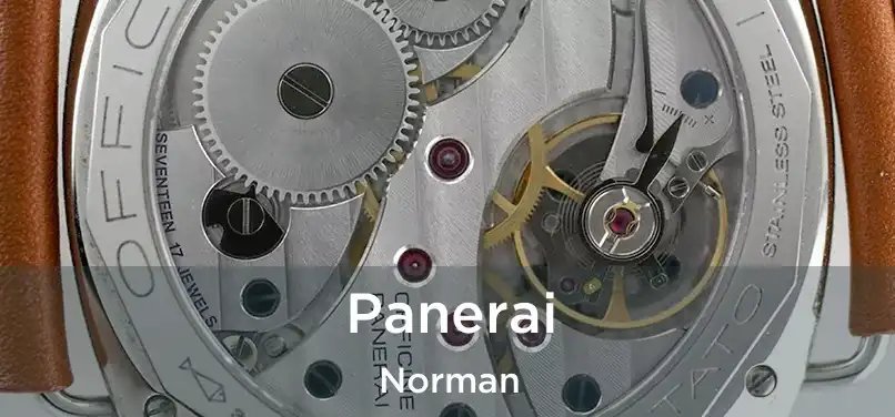 Panerai Norman