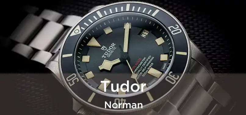 Tudor Norman