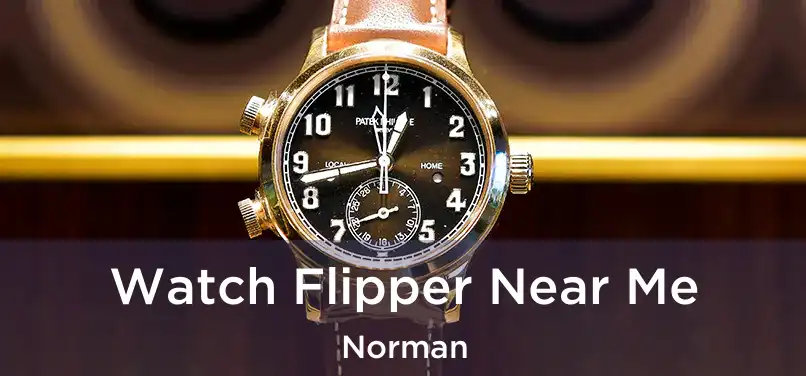 Watch Flipper Near Me Norman